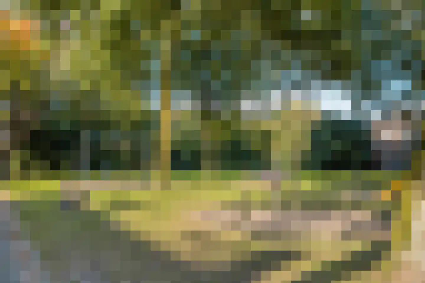 Langehof 15 Ammerzoden thumbnail 29