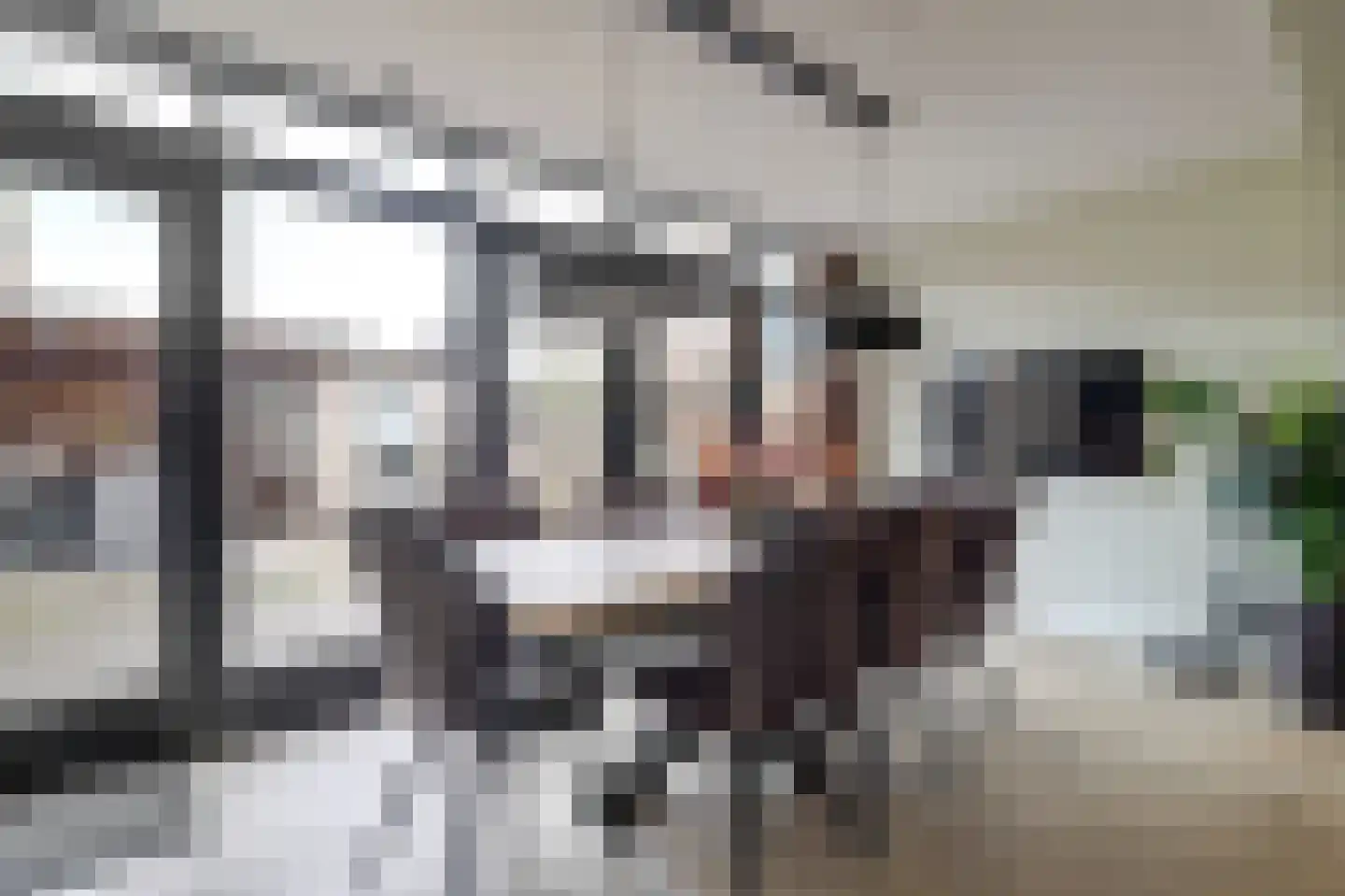 Langehof 17 Ammerzoden thumbnail 10