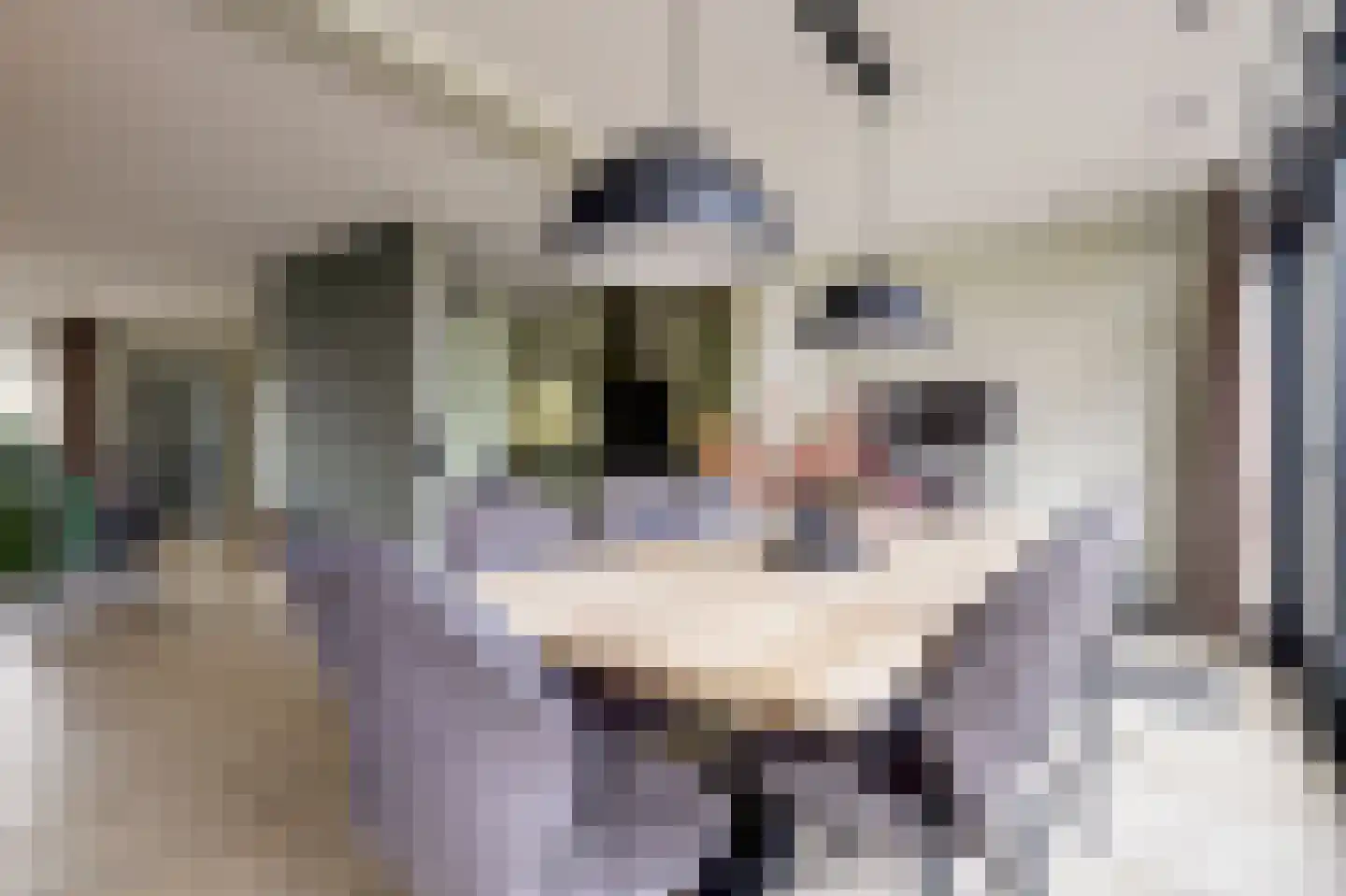 Langehof 17 Ammerzoden thumbnail 11
