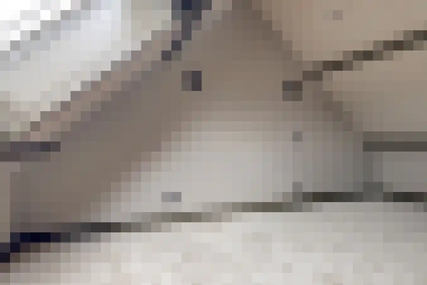 Langehof 17 Ammerzoden thumbnail 32
