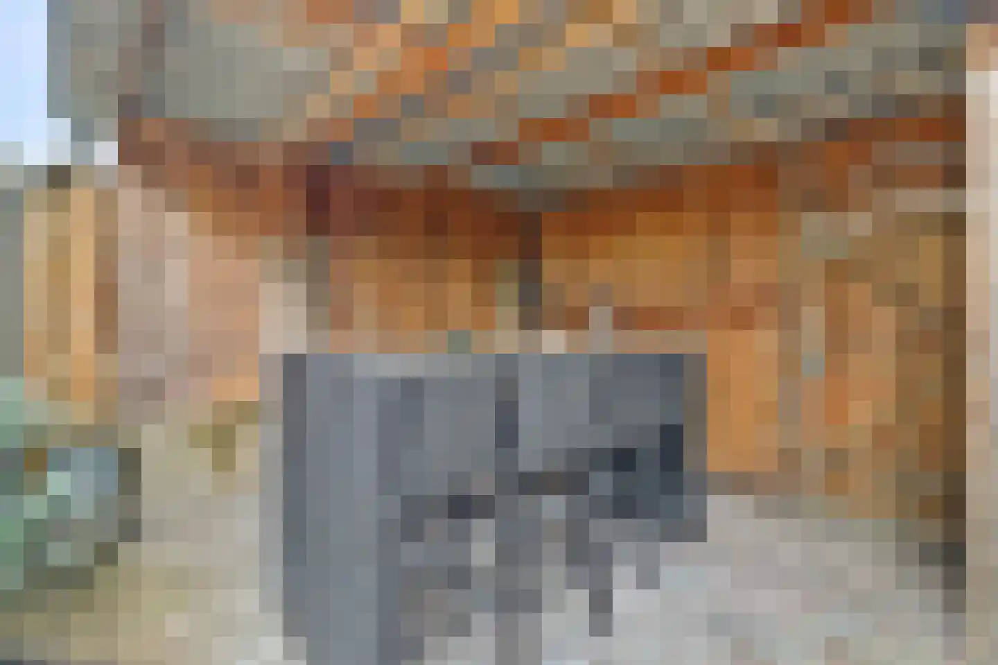 Langehof 17 Ammerzoden thumbnail 38