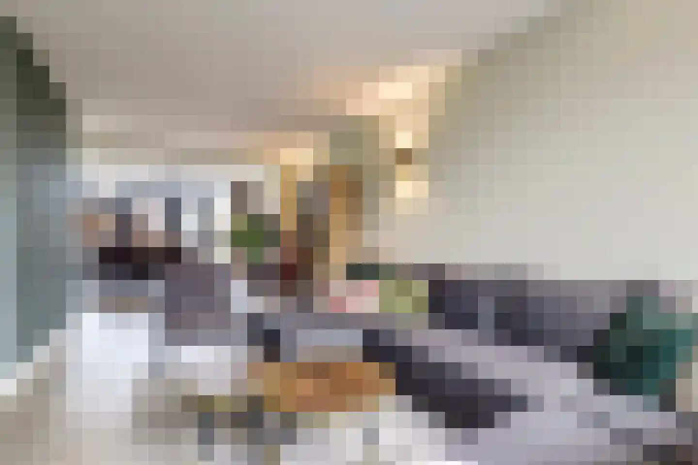 Langehof 17 Ammerzoden thumbnail 6