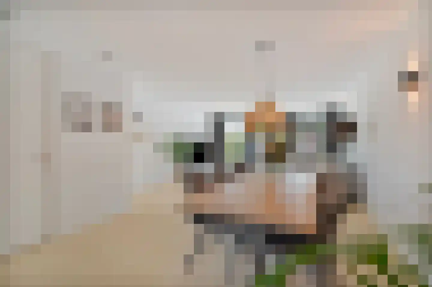 Langehof 19 Schagen thumbnail 11