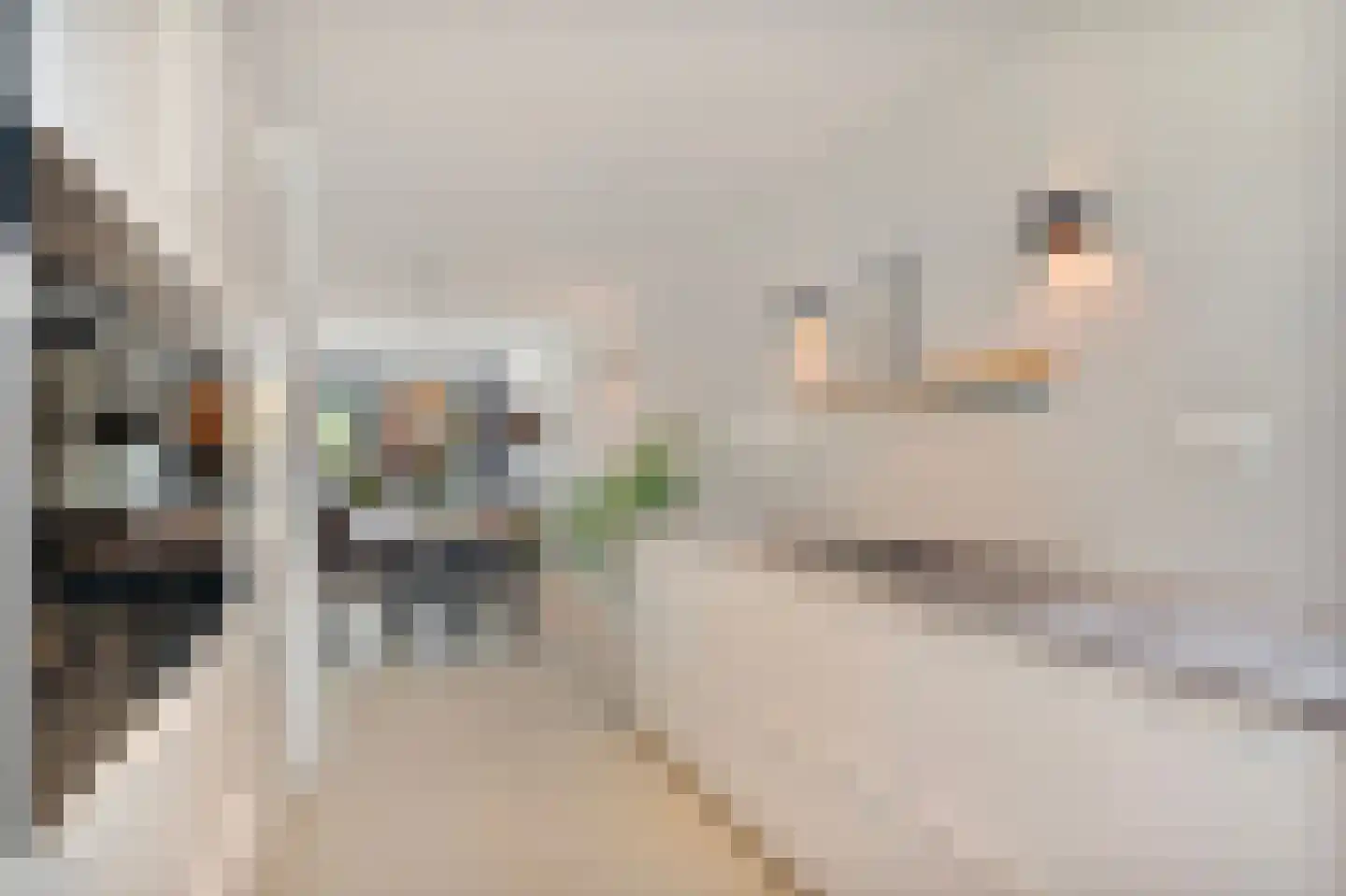 Langehof 19 Schagen thumbnail 15