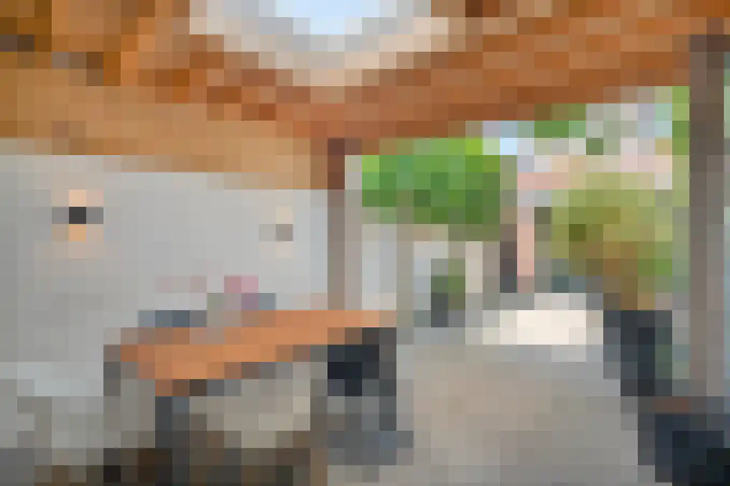 Langehof 19 Schagen thumbnail 20