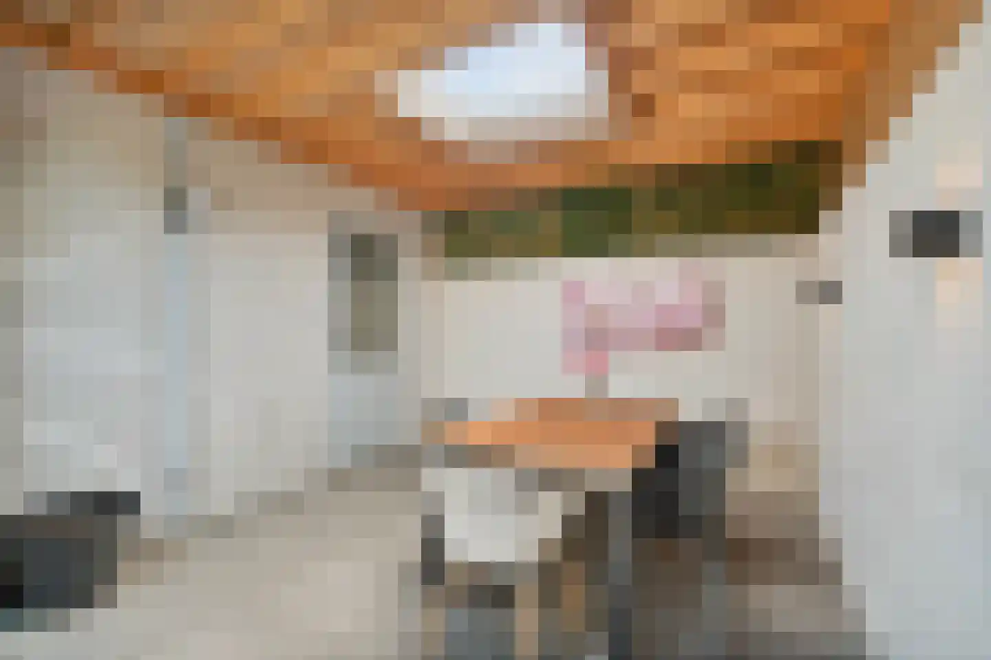 Langehof 19 Schagen thumbnail 21