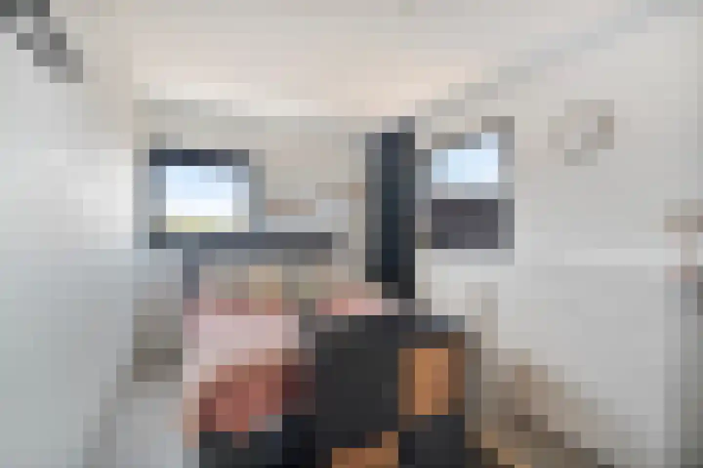Langehof 19 Schagen thumbnail 33