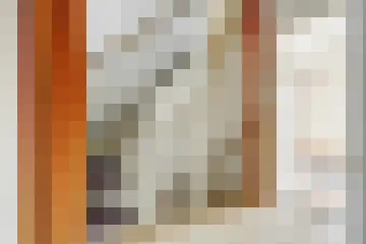 Langehof 26 Ammerzoden thumbnail 12