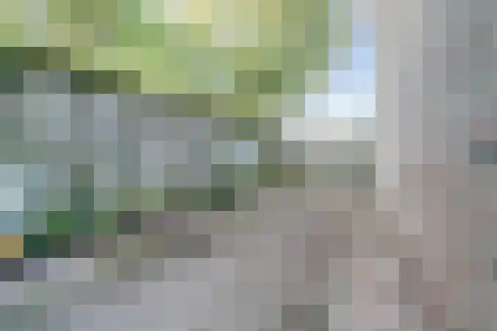 Langehof 26 Ammerzoden thumbnail 31