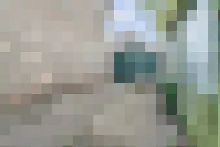 Langehof 26 Ammerzoden thumbnail 32