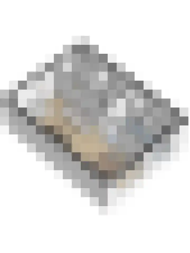 Langehof 26 Ammerzoden thumbnail 44