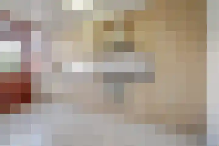 Langehof 4 Ammerzoden thumbnail 11
