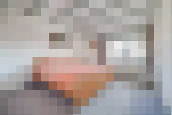 Langehof 4 Ammerzoden thumbnail 17