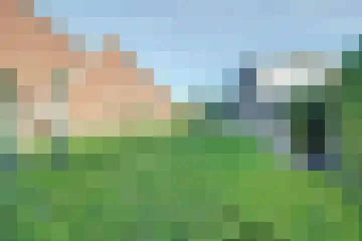 Langehof 4 Ammerzoden thumbnail 35