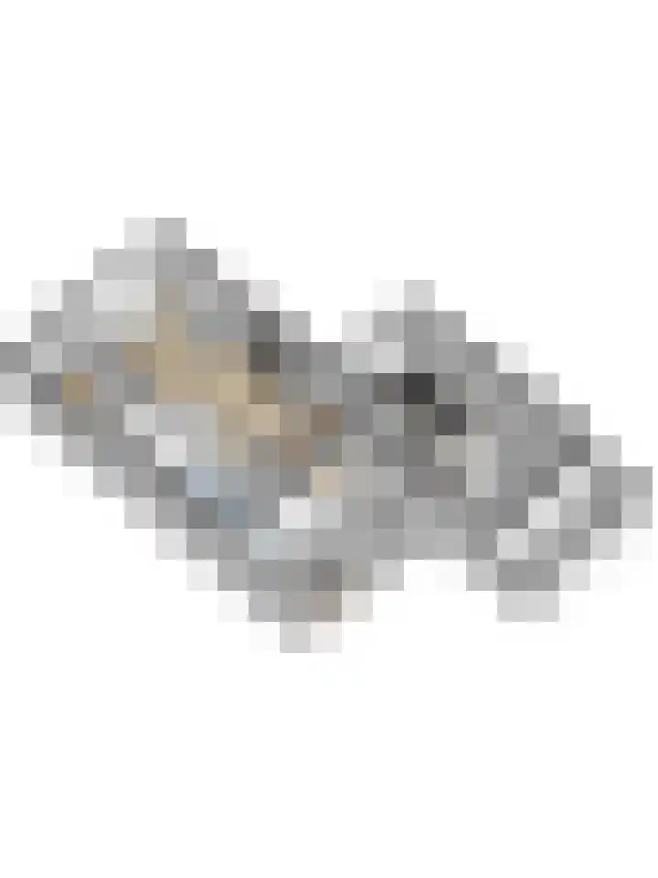 Langehof 4 Ammerzoden thumbnail 44
