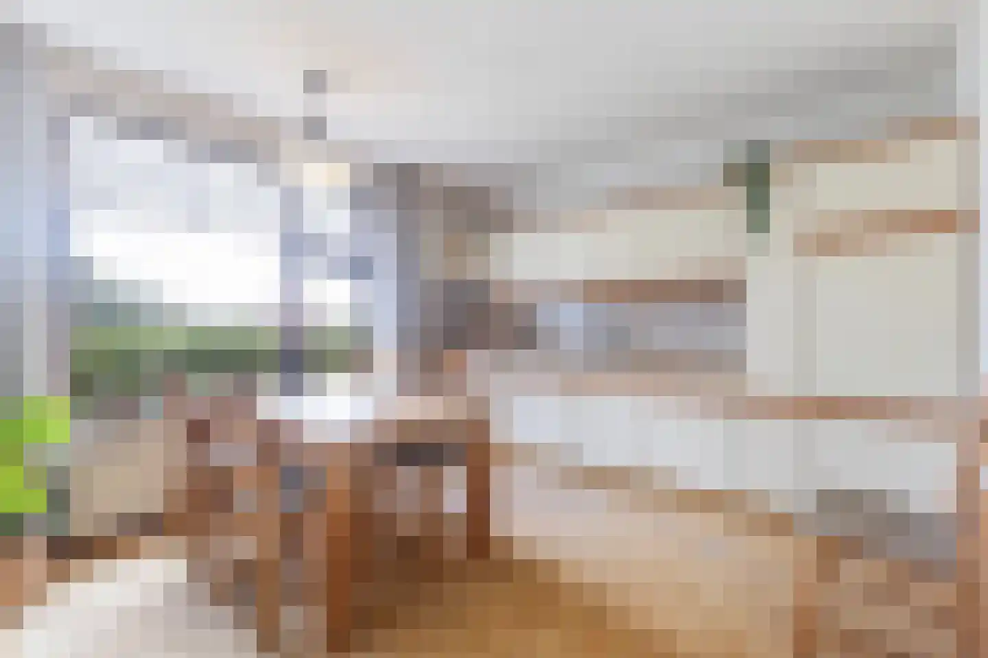 Langelaan 1 A Burgum thumbnail 20