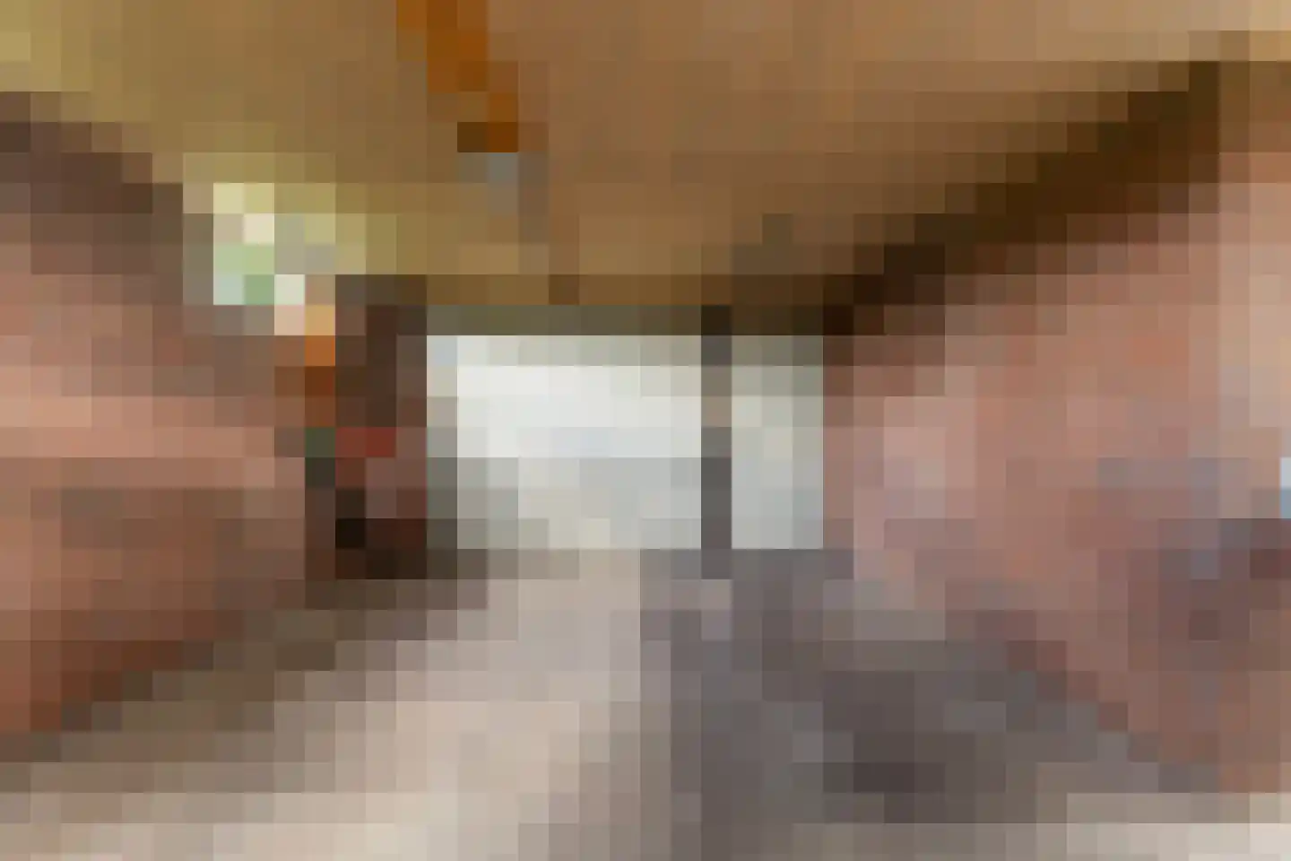 Langelaan 1 A Burgum thumbnail 37