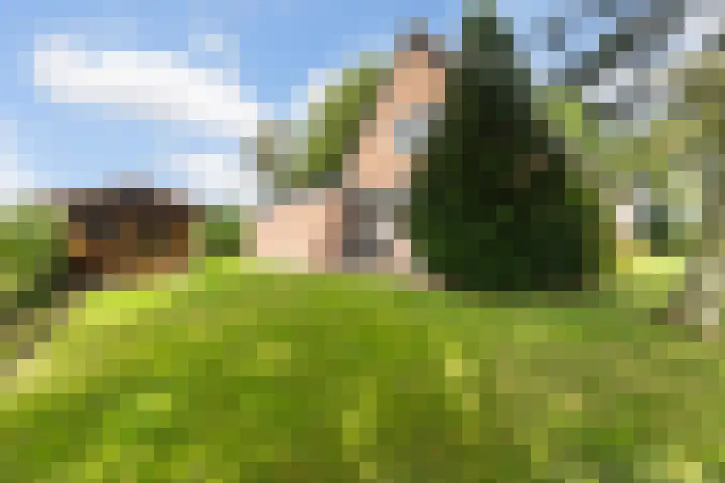 Langelaan 1 A Burgum thumbnail 38