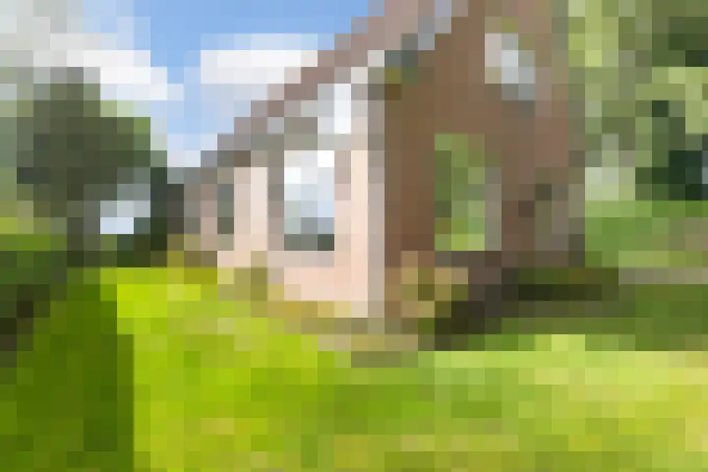 Langelaan 1 A Burgum thumbnail 39