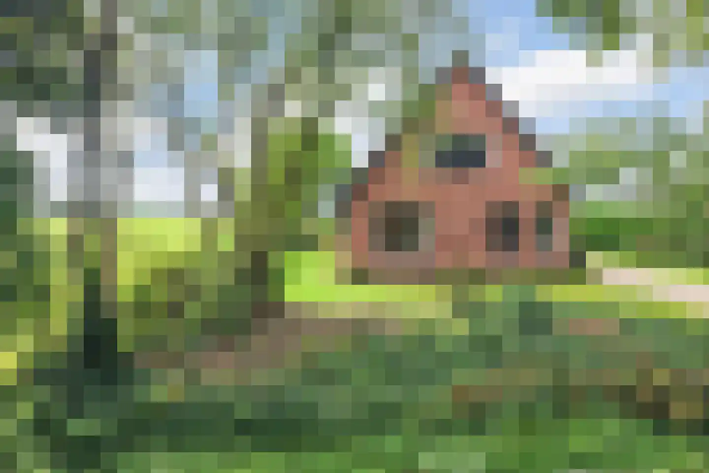 Langelaan 1 A Burgum thumbnail 4
