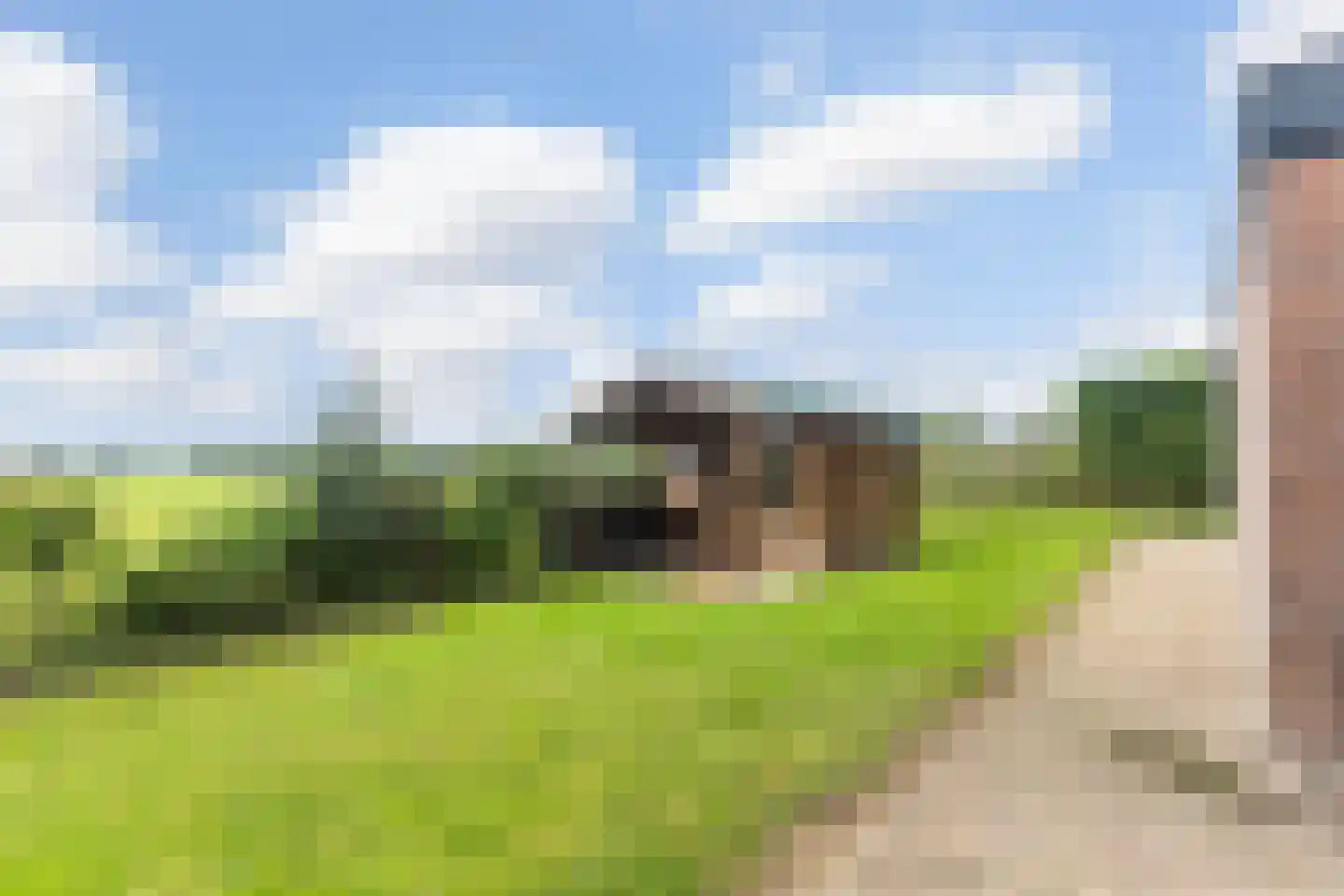 Langelaan 1 A Burgum thumbnail 41