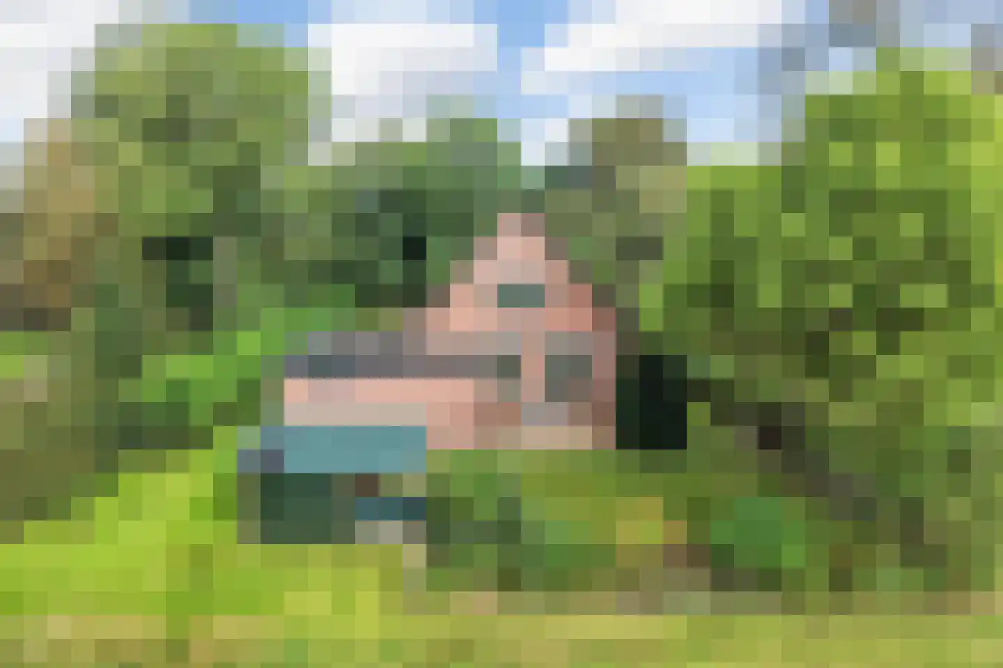 Langelaan 1 A Burgum thumbnail 42