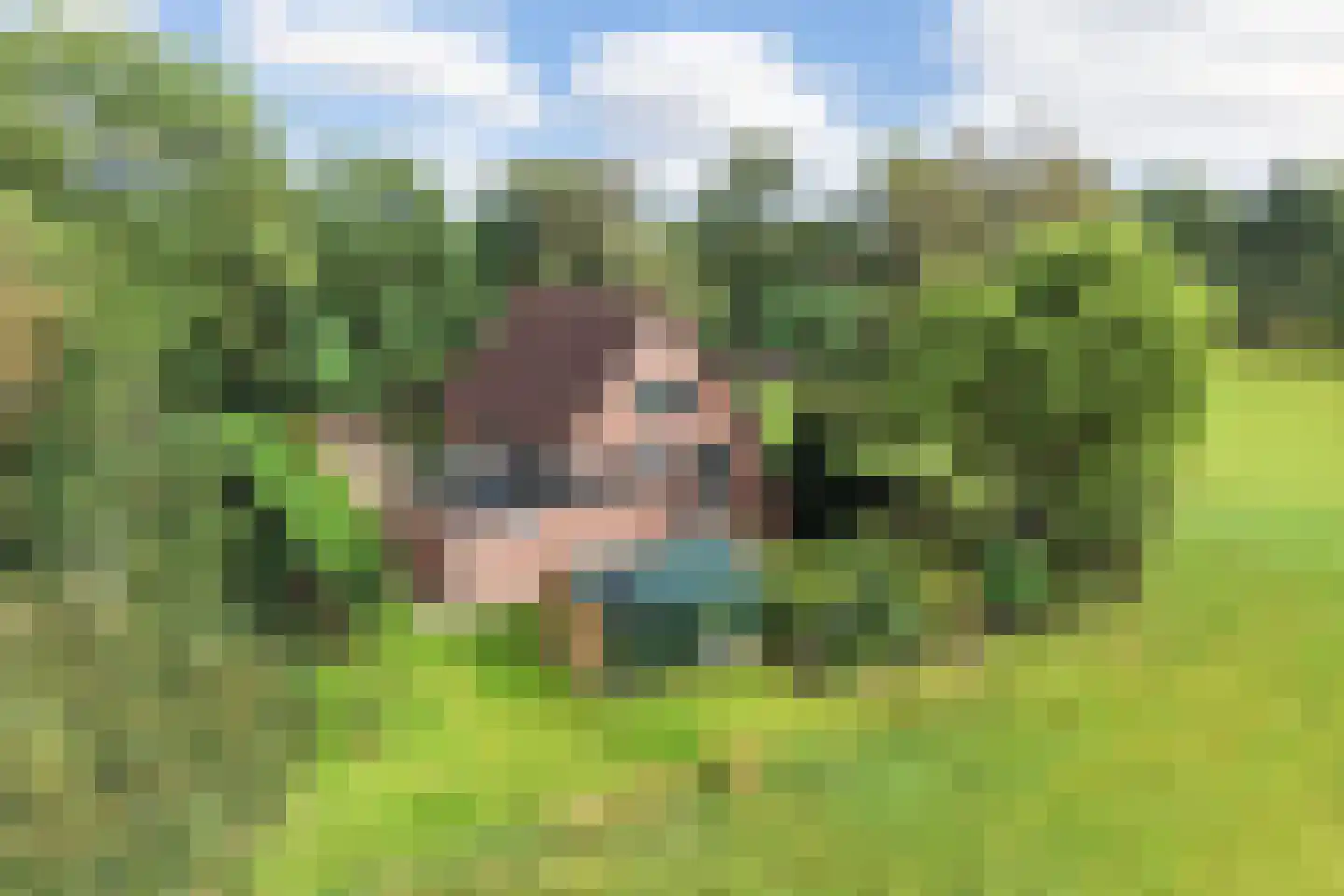 Langelaan 1 A Burgum thumbnail 43