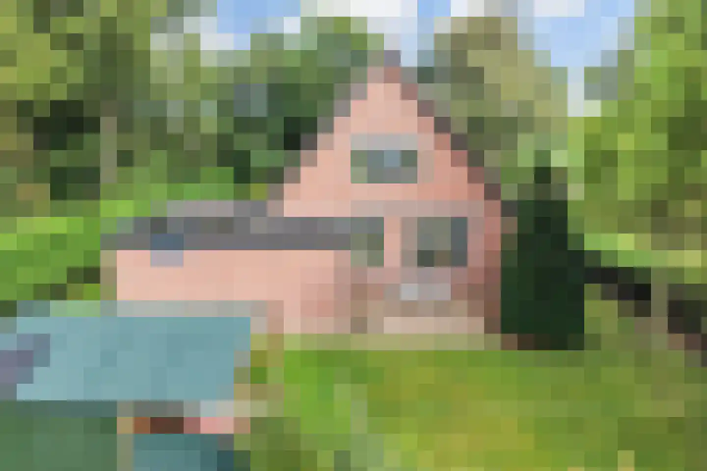 Langelaan 1 A Burgum thumbnail 44