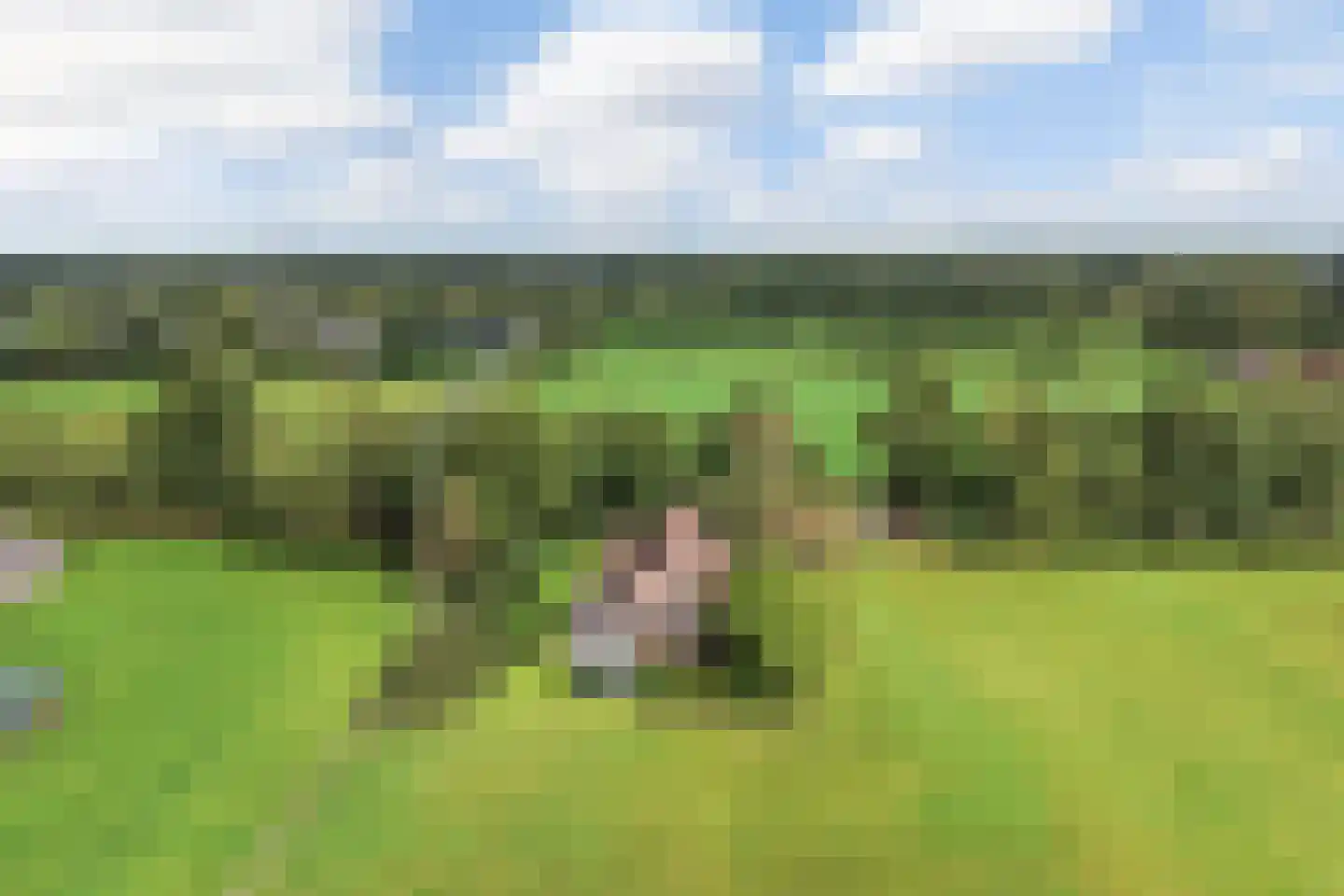 Langelaan 1 A Burgum thumbnail 7