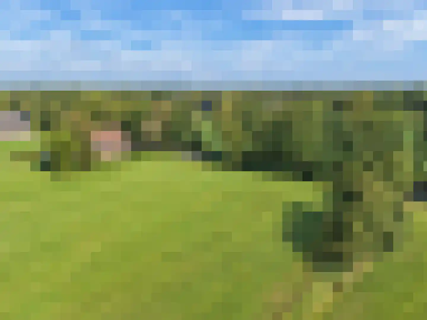 Langelaan 1 A Burgum thumbnail 8