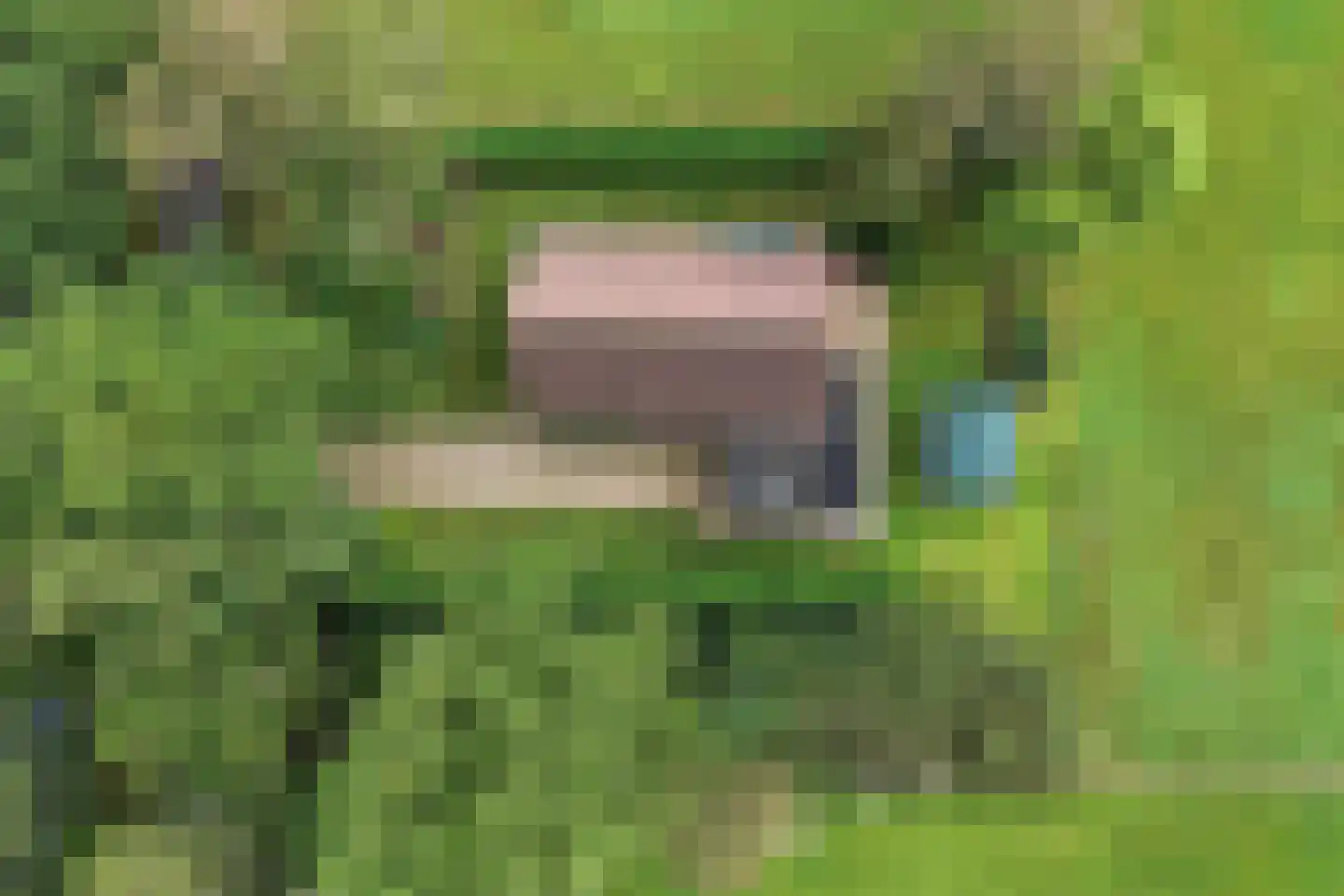 Langelaan 1 A Burgum thumbnail 9