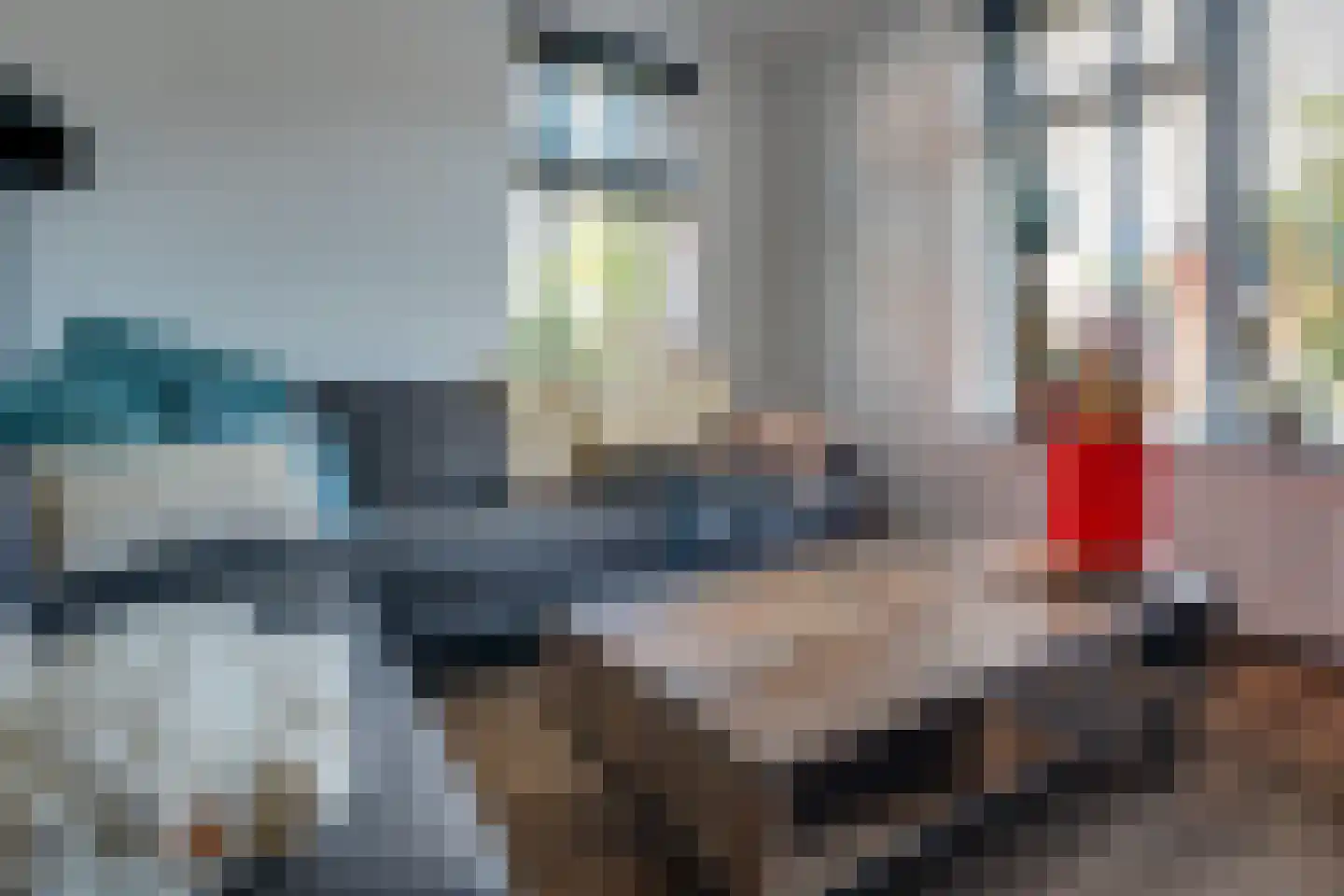 Langelaan 32 Surhuisterveen thumbnail 14
