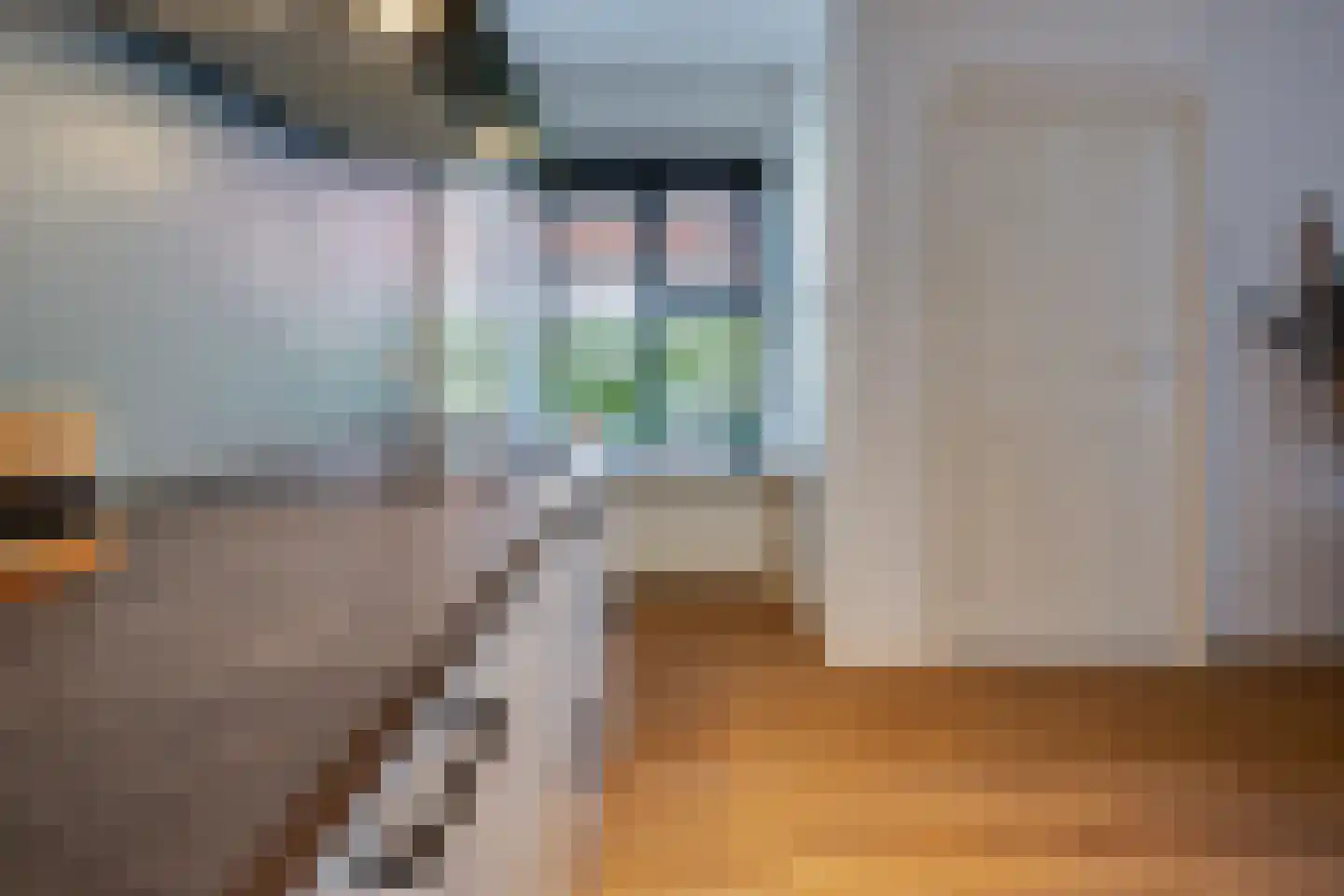 Langelaan 32 Surhuisterveen thumbnail 19