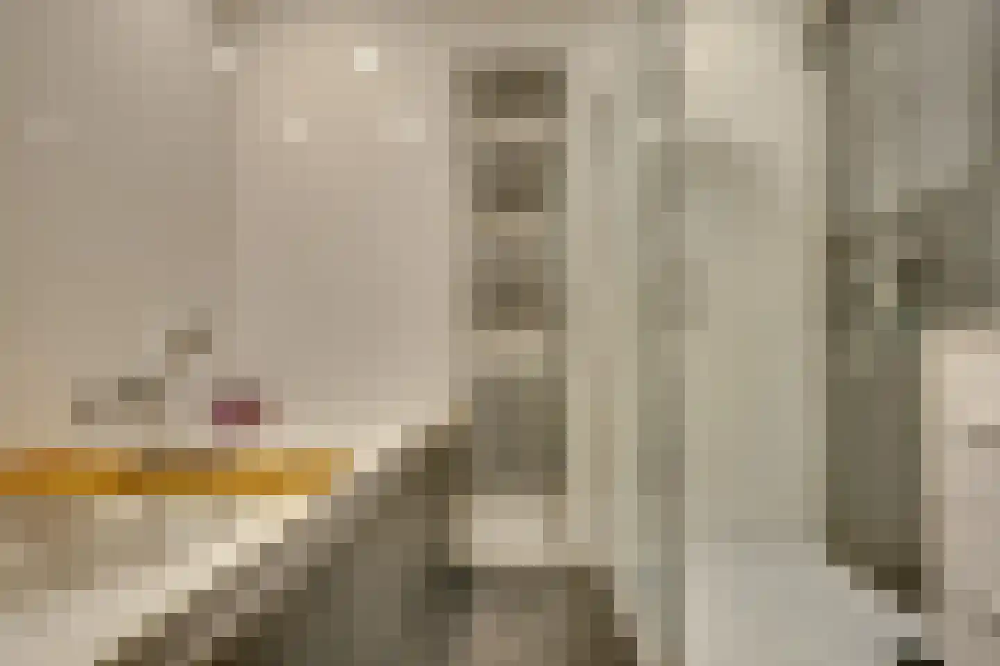 Langelaan 32 Surhuisterveen thumbnail 21