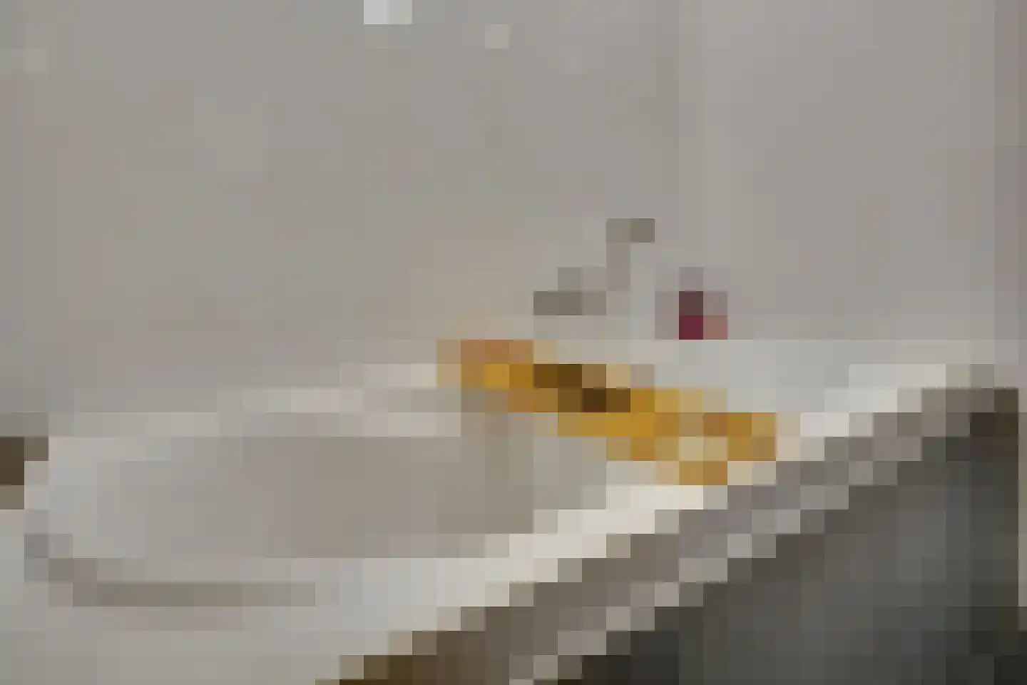 Langelaan 32 Surhuisterveen thumbnail 23