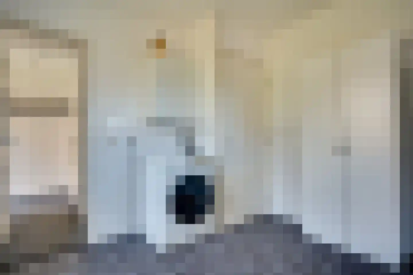 Langelaan 32 Surhuisterveen thumbnail 26