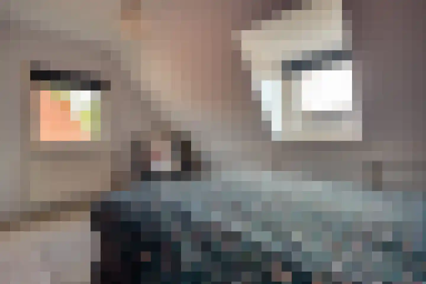 Langelaan 32 Surhuisterveen thumbnail 33
