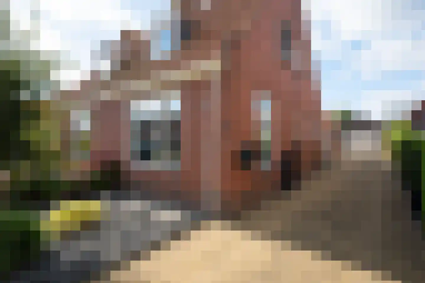 Langelaan 32 Surhuisterveen thumbnail 36