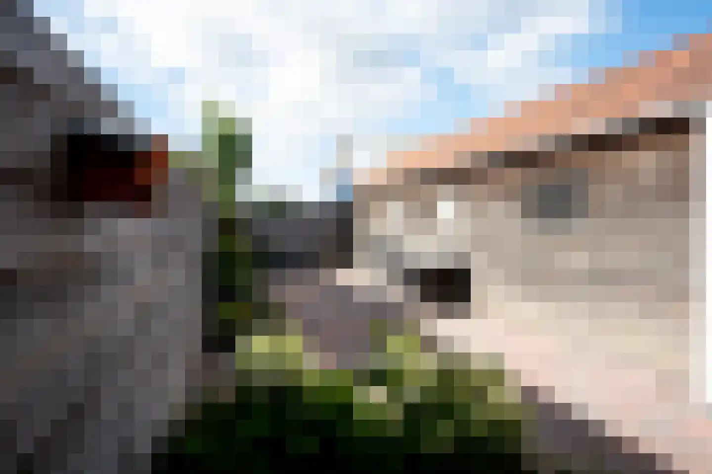 Langelaan 32 Surhuisterveen thumbnail 37