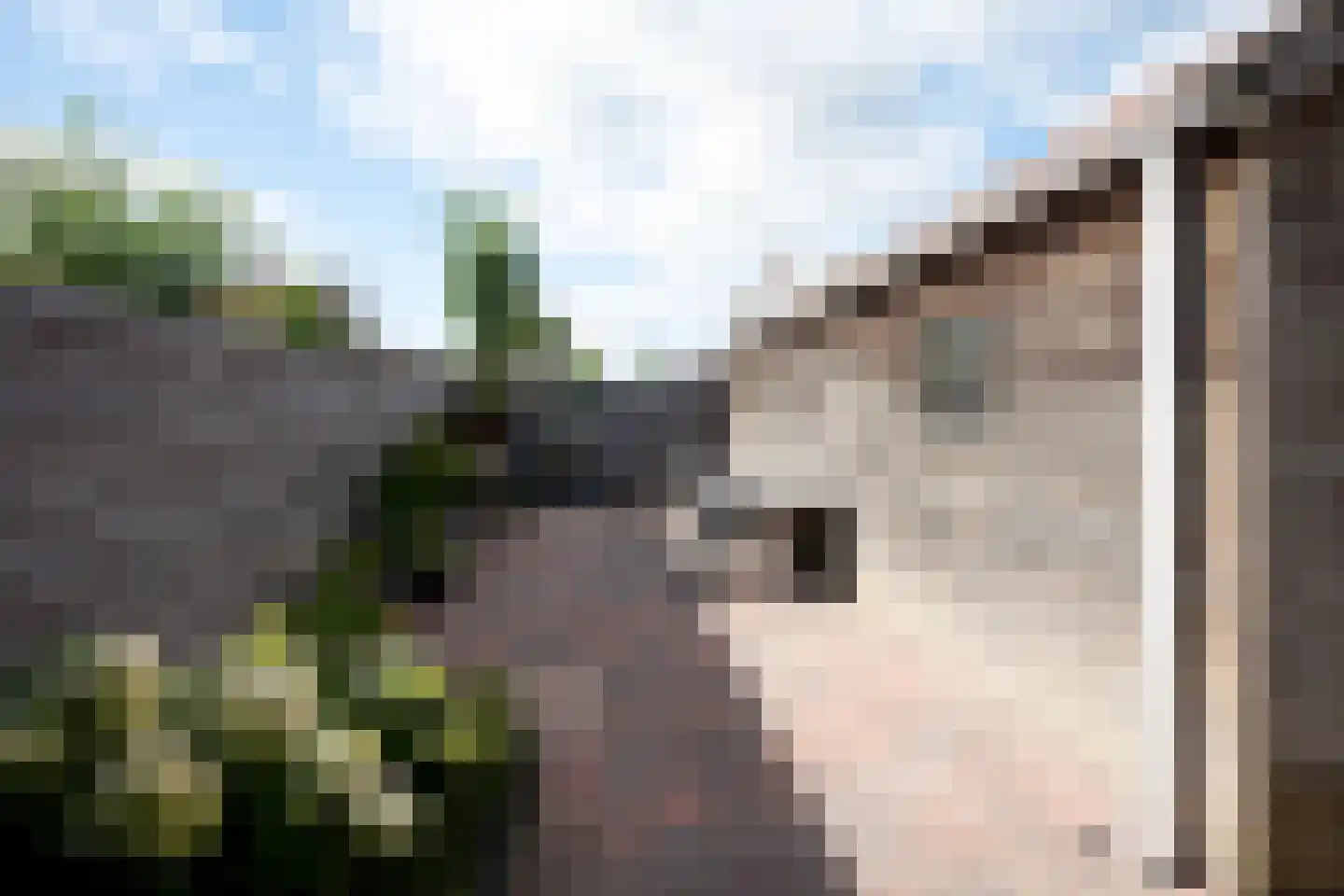 Langelaan 32 Surhuisterveen thumbnail 38