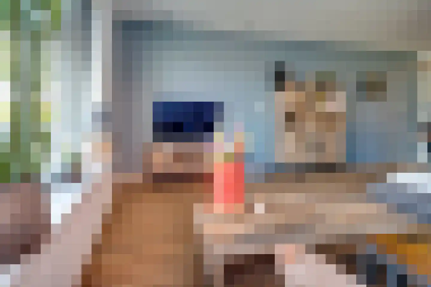 Langelaan 32 Surhuisterveen thumbnail 4