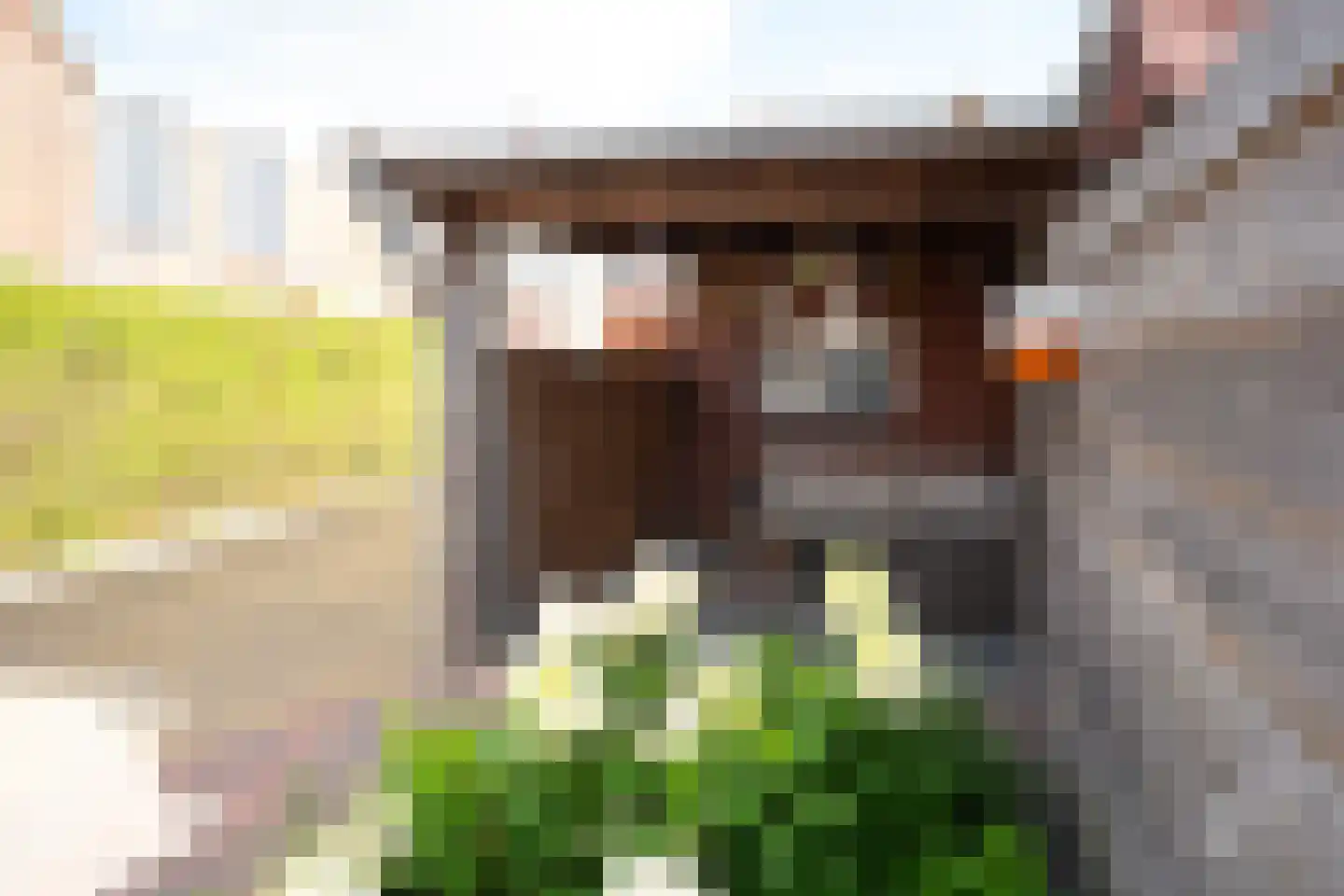 Langelaan 32 Surhuisterveen thumbnail 40