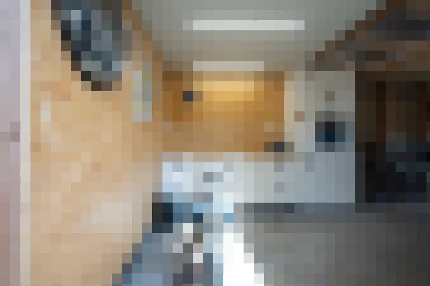Langelaan 32 Surhuisterveen thumbnail 45