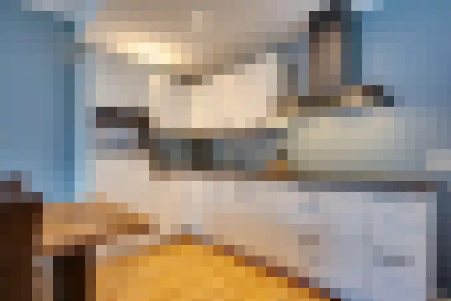 Langelaan 32 Surhuisterveen thumbnail 5