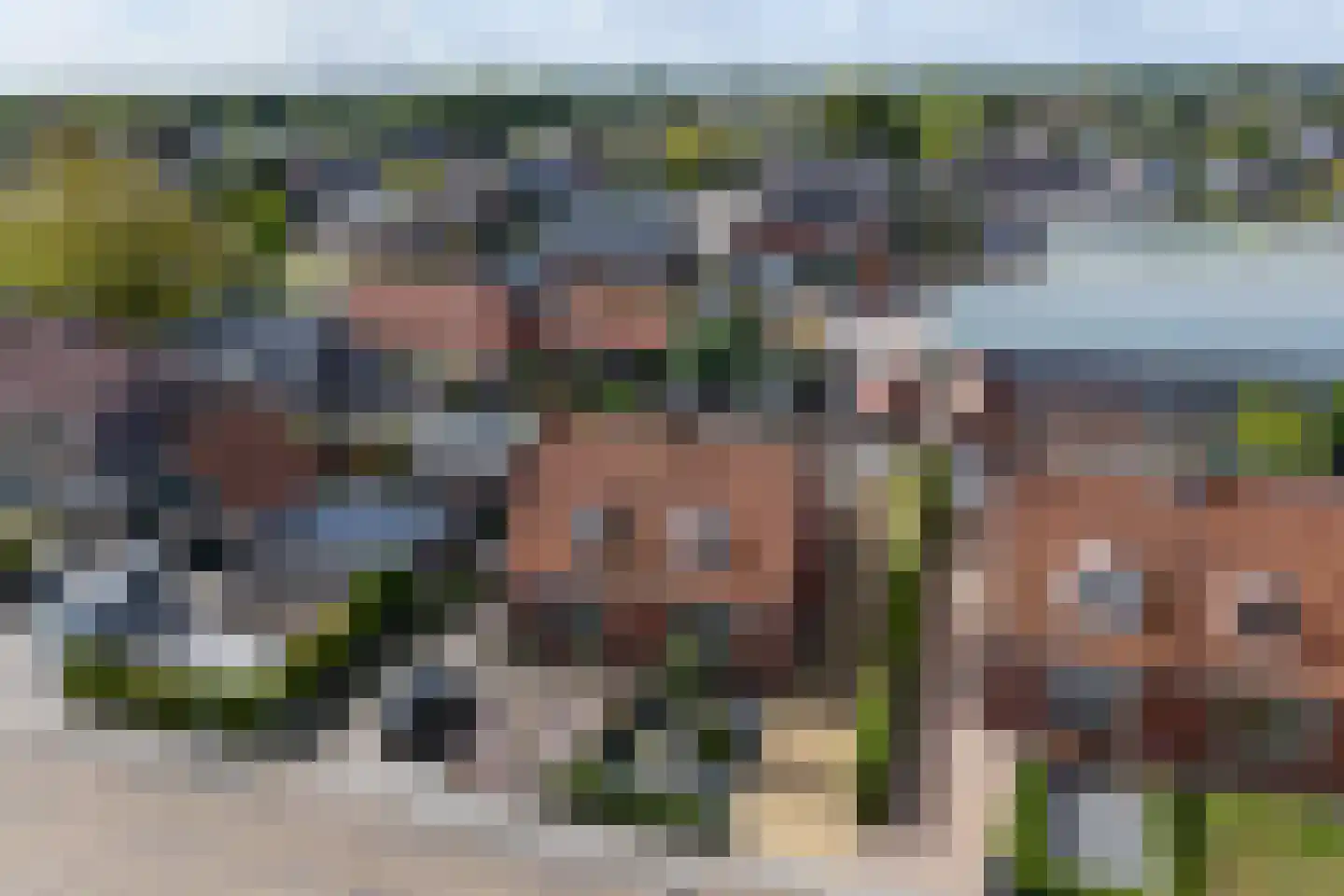 Langelaan 32 Surhuisterveen thumbnail 50