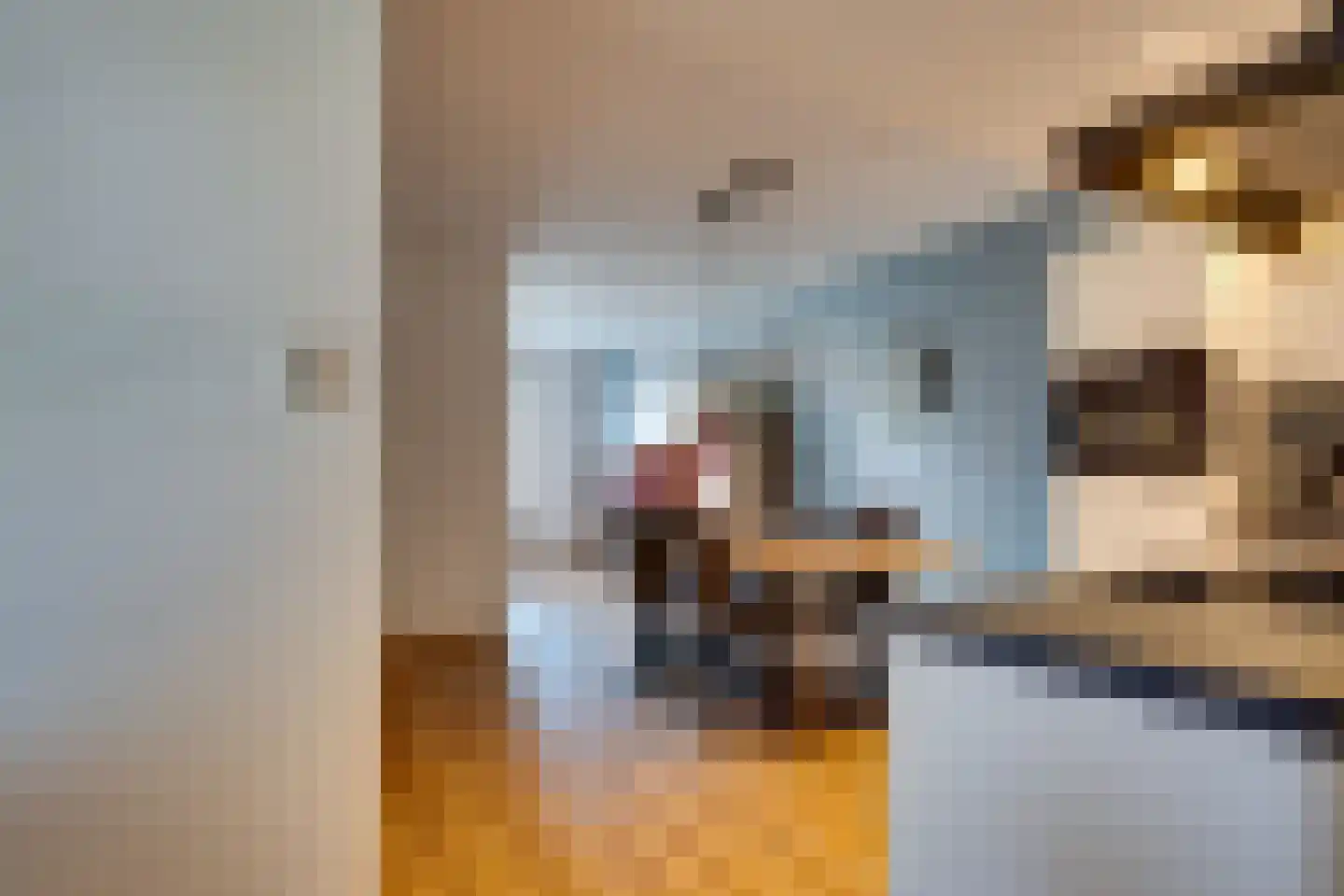 Langelaan 32 Surhuisterveen thumbnail 9