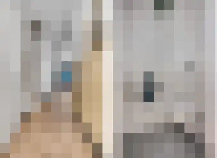 Langelaar 20 Veenendaal thumbnail 11