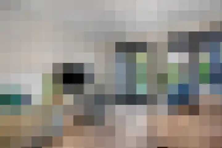 Langelaar 20 Veenendaal thumbnail 13