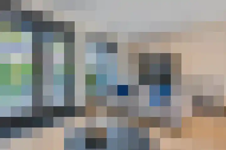 Langelaar 20 Veenendaal thumbnail 15