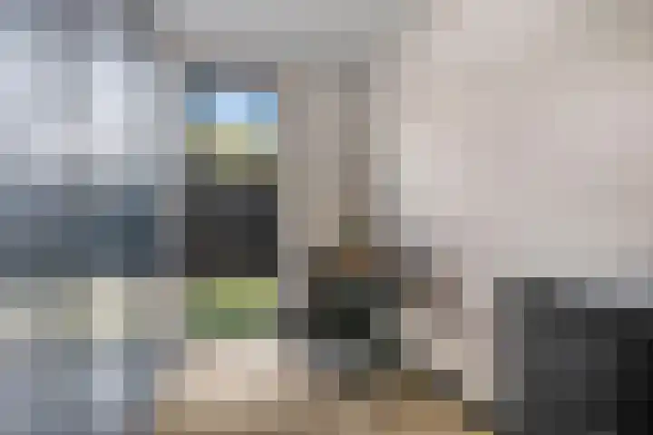 Langelaar 20 Veenendaal thumbnail 19